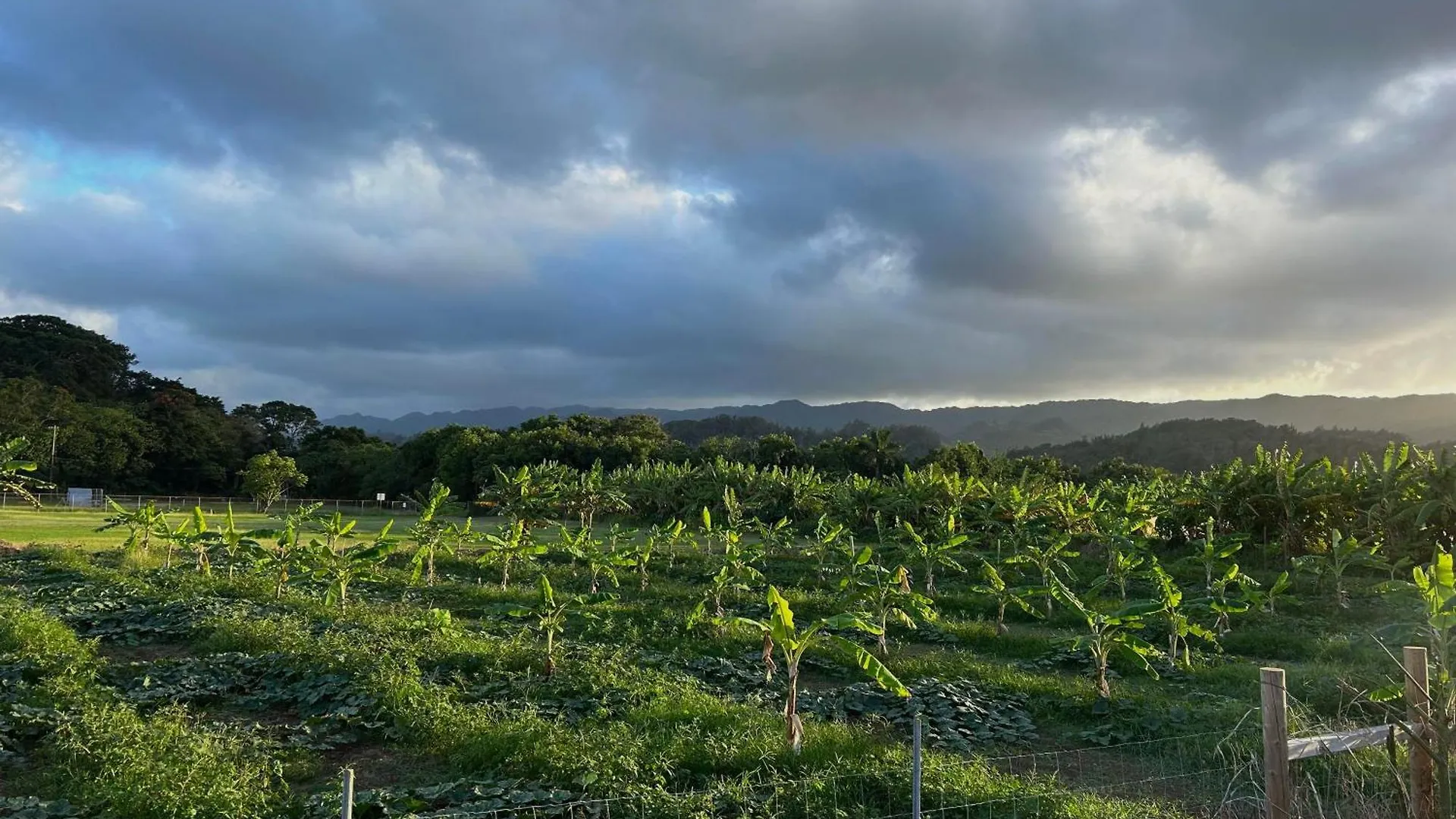 Maleka Farm: Tent Glamping North Shore Oahu Laie